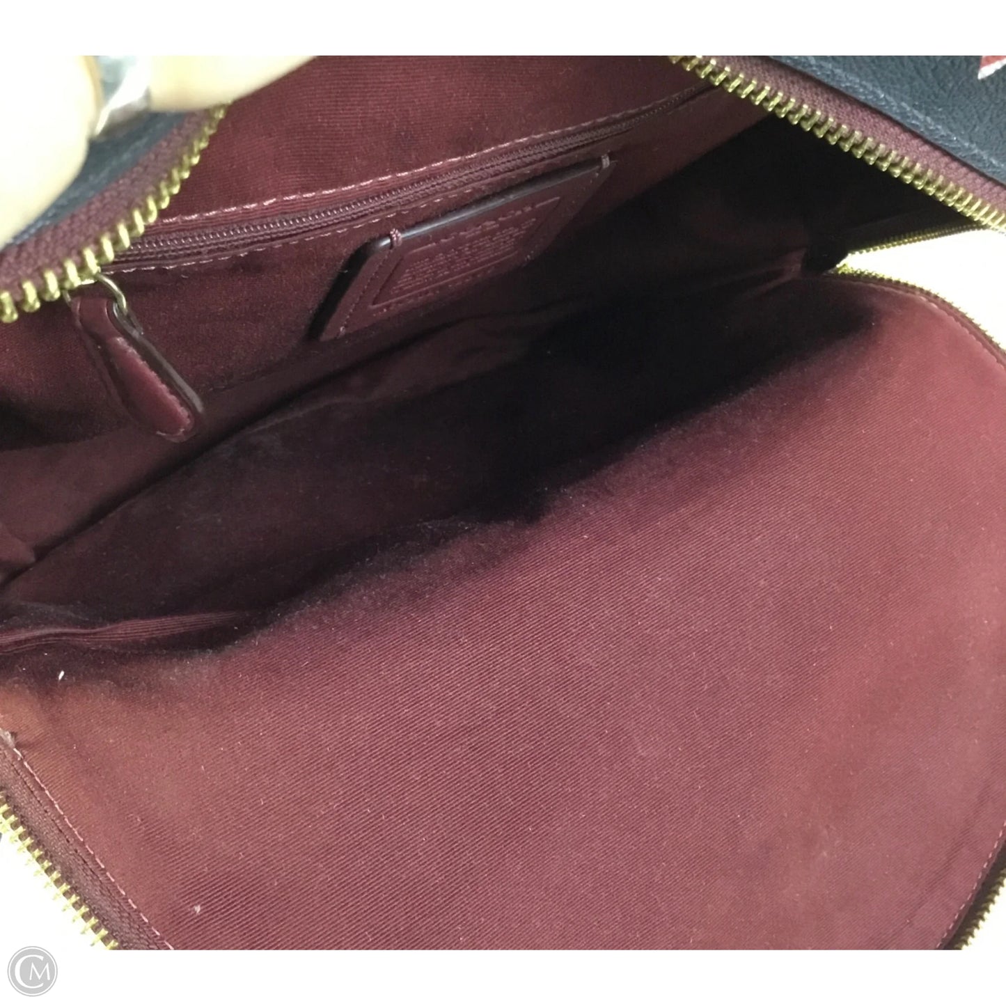 Backpack Designer By Coach, Size: Small