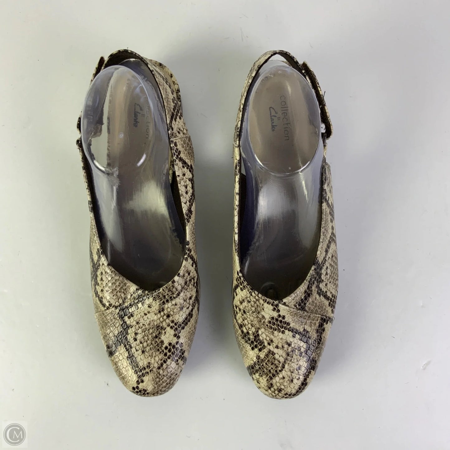 Shoes Flats By Clarks In Snakeskin Print, Size: 10