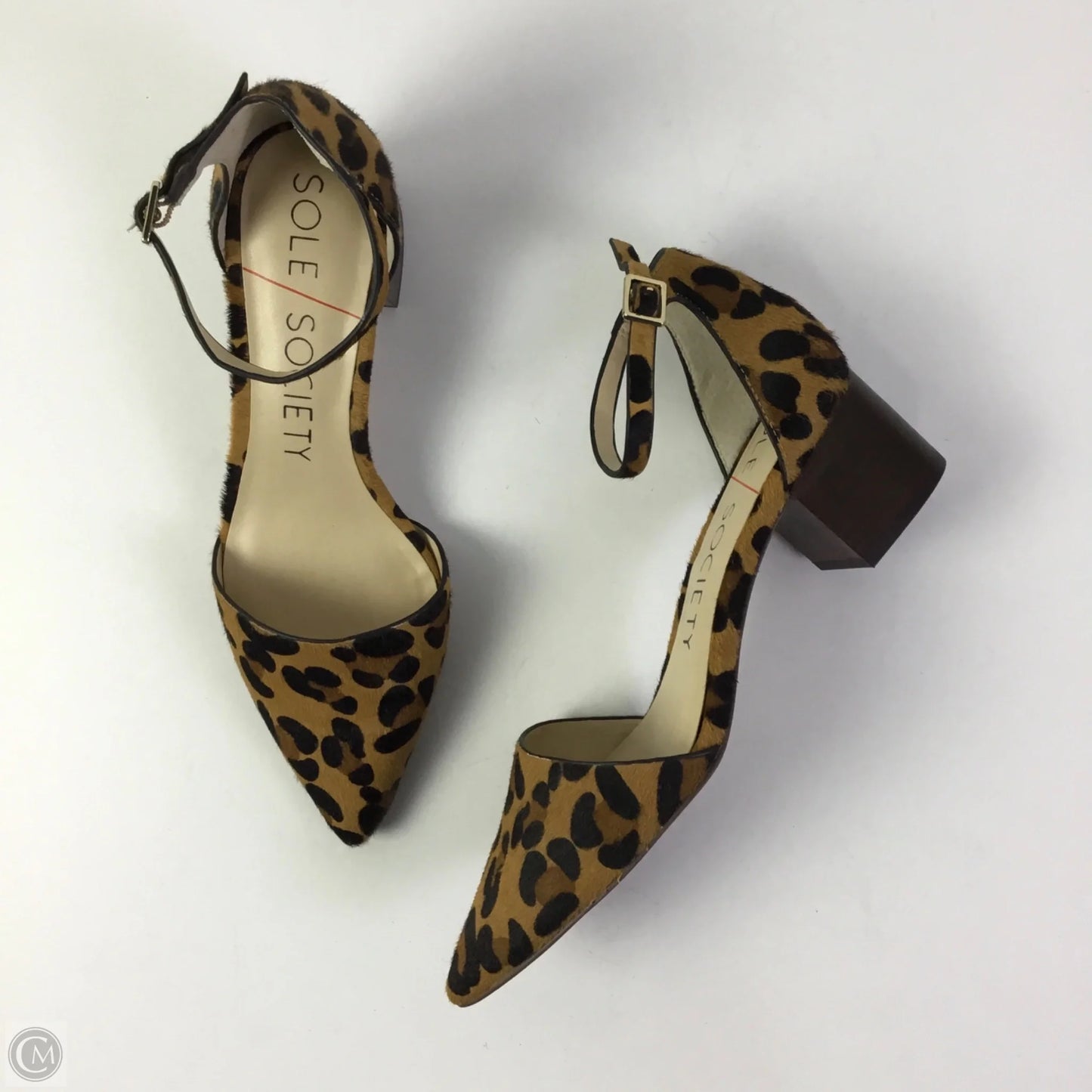 Shoes Heels Block By Sole Society In Animal Print, Size: 8.5