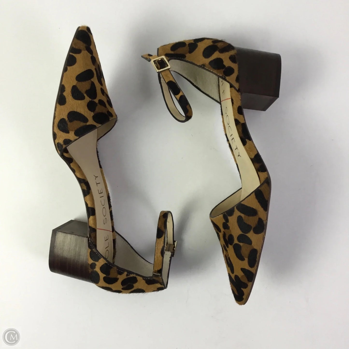 Shoes Heels Block By Sole Society In Animal Print, Size: 8.5