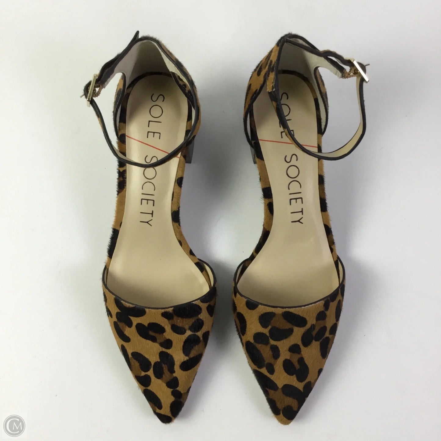 Shoes Heels Block By Sole Society In Animal Print, Size: 8.5