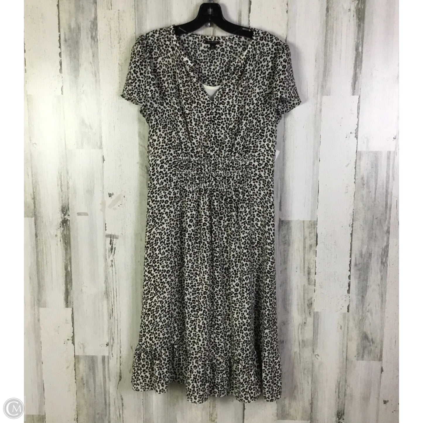 Dress Casual Short By Talbots In Leopard Print, Size: M