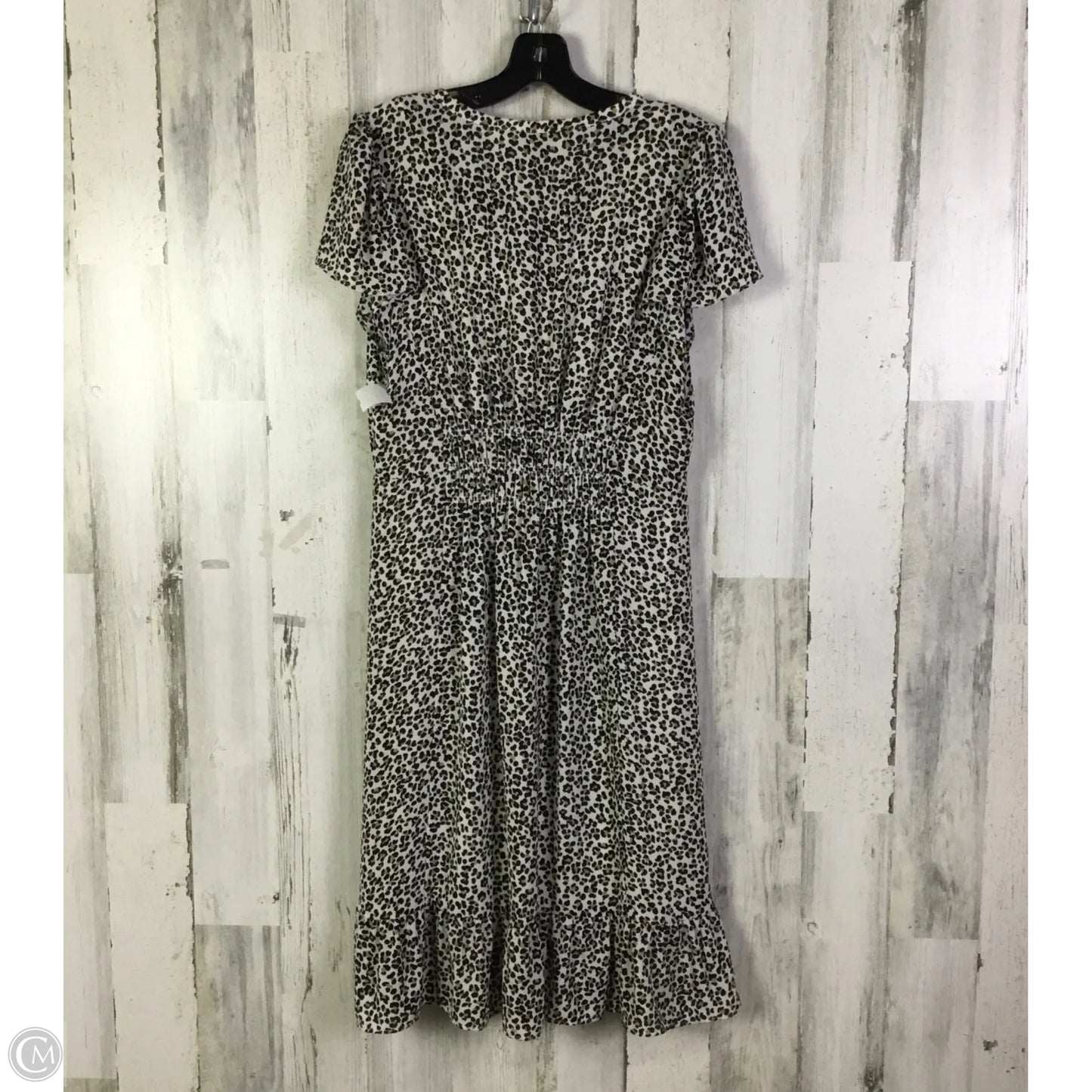 Dress Casual Short By Talbots In Leopard Print, Size: M