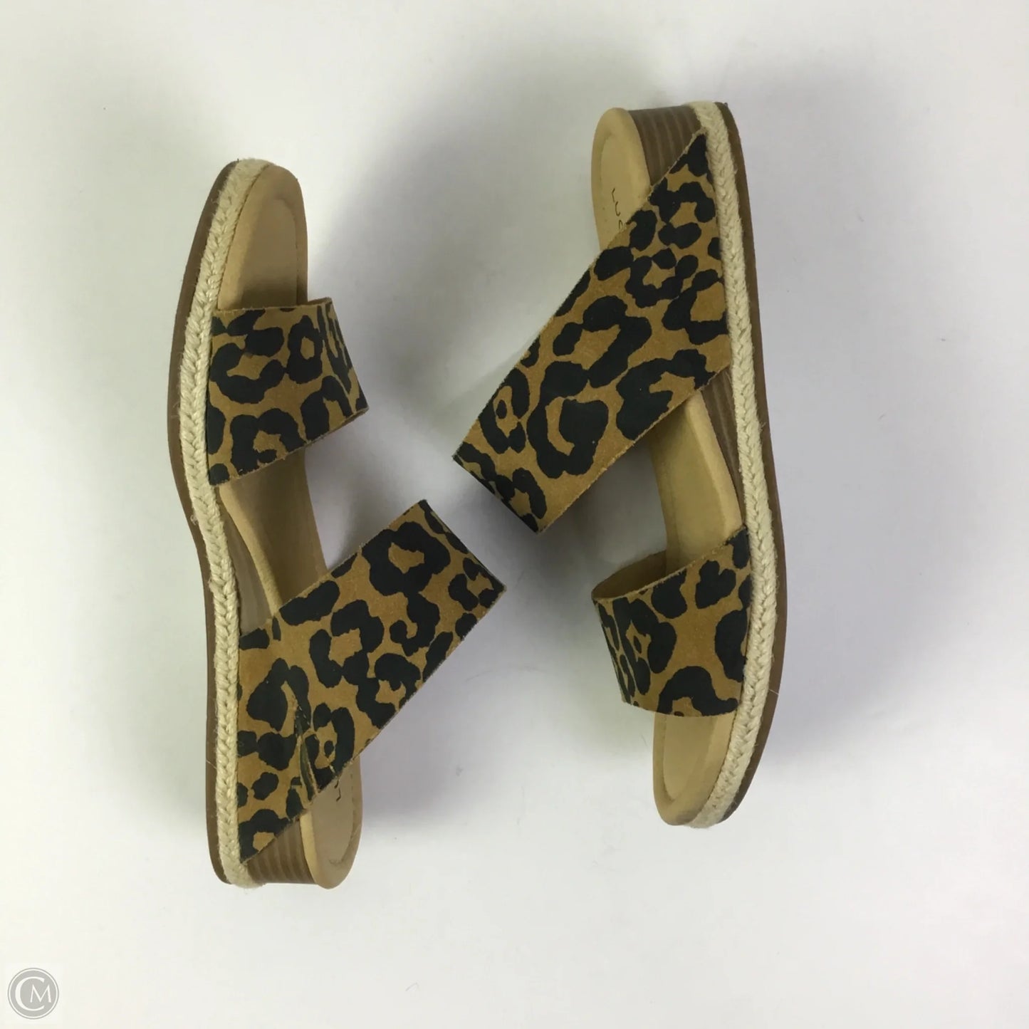 Sandals Heels Wedge By Lucky Brand In Animal Print, Size: 7.5