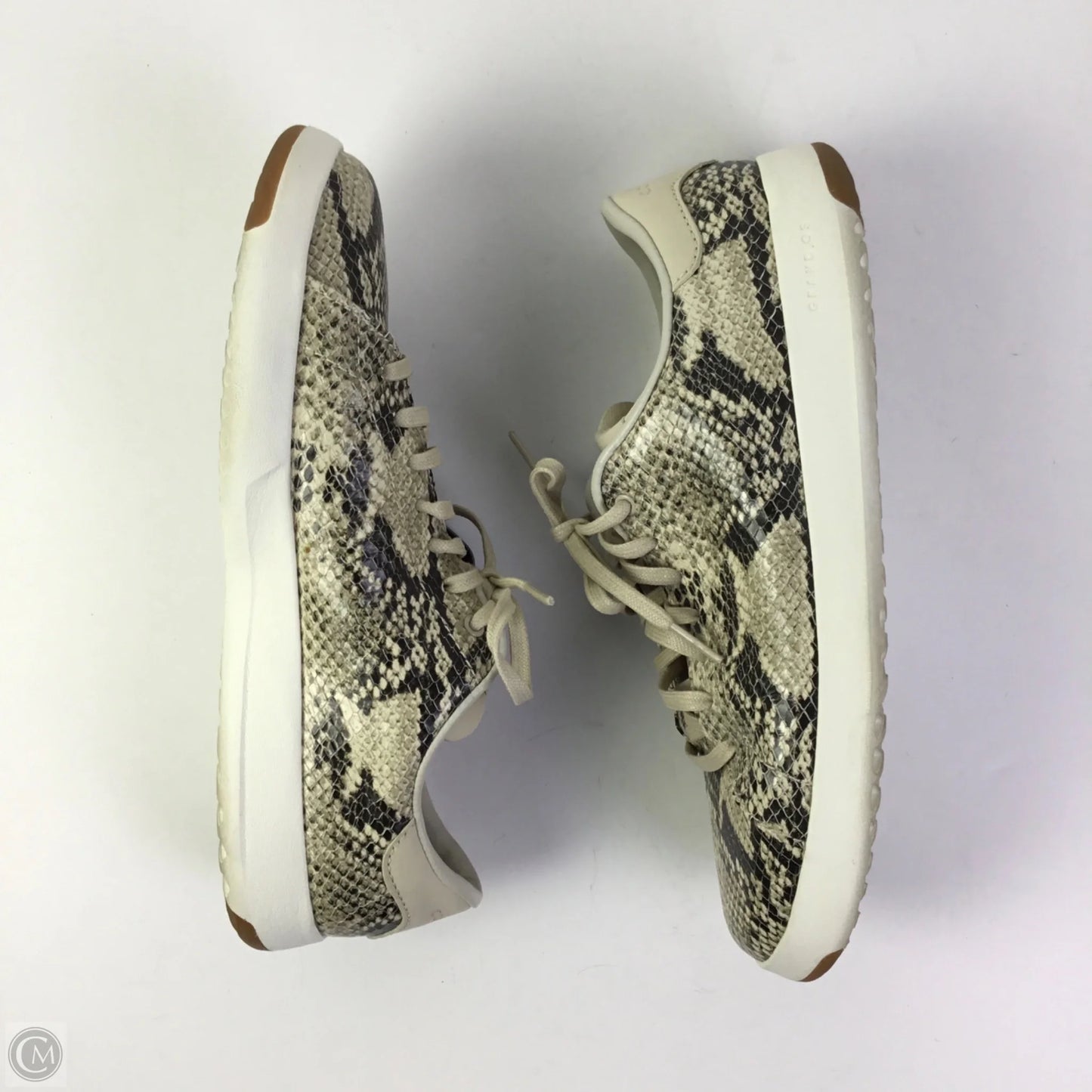 Shoes Sneakers By Cole-haan In Snakeskin Print, Size: 9.5