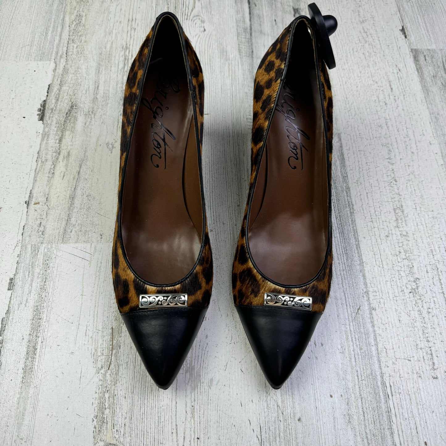 Animal Print Shoes Heels Stiletto Brighton, Size 10