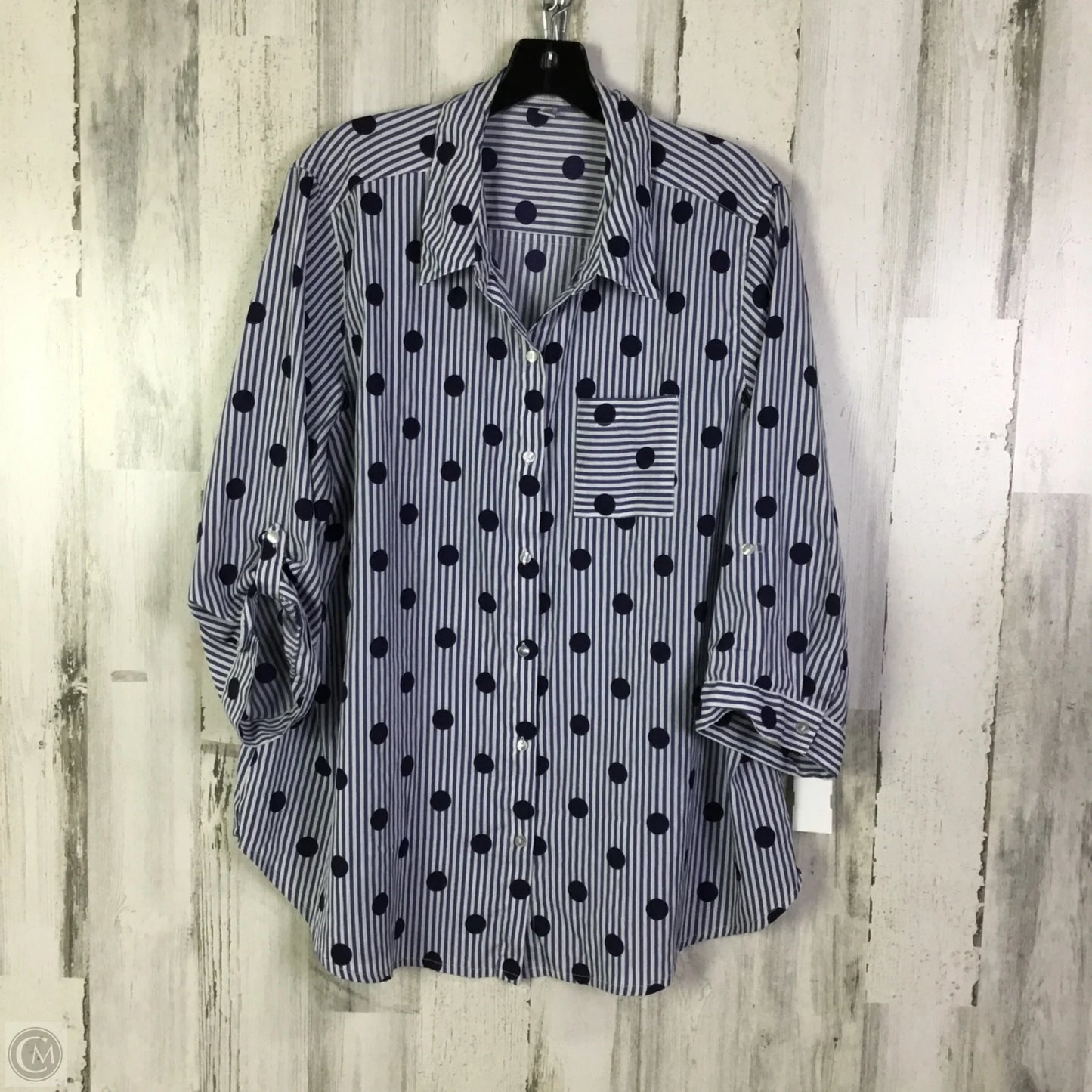 Blouse Long Sleeve By Rebecca Malone In Blue & White, Size: 2x