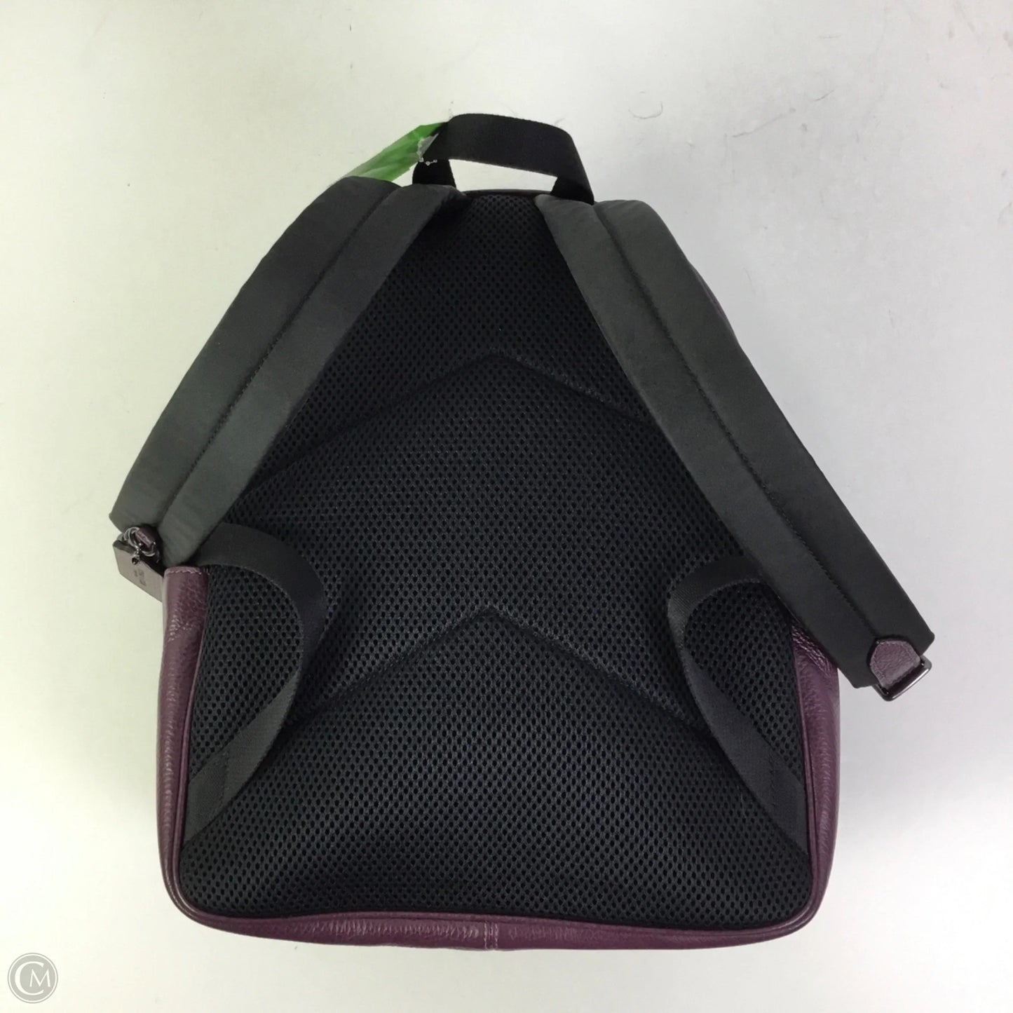 Backpack Designer By Coach, Size: Medium