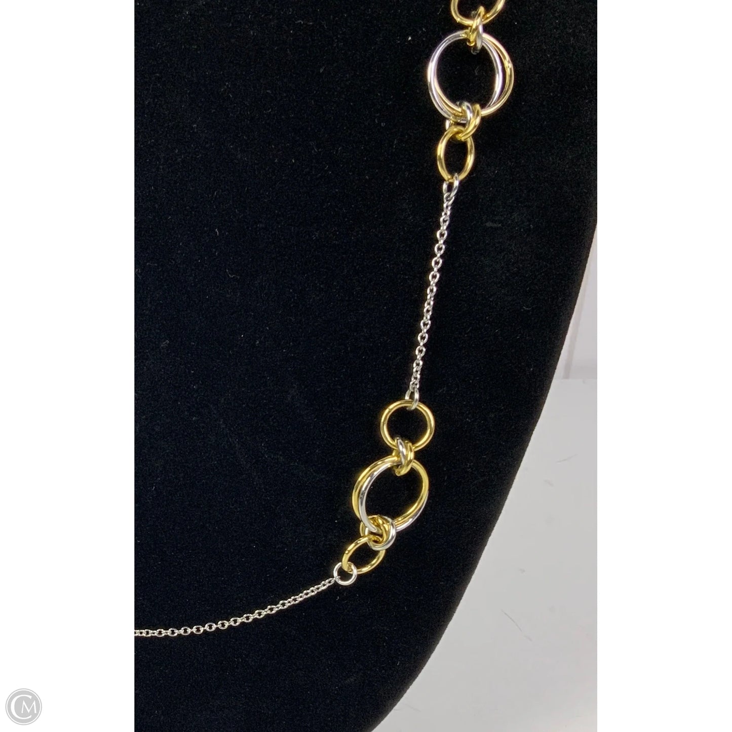 Necklace Chain By Talbots