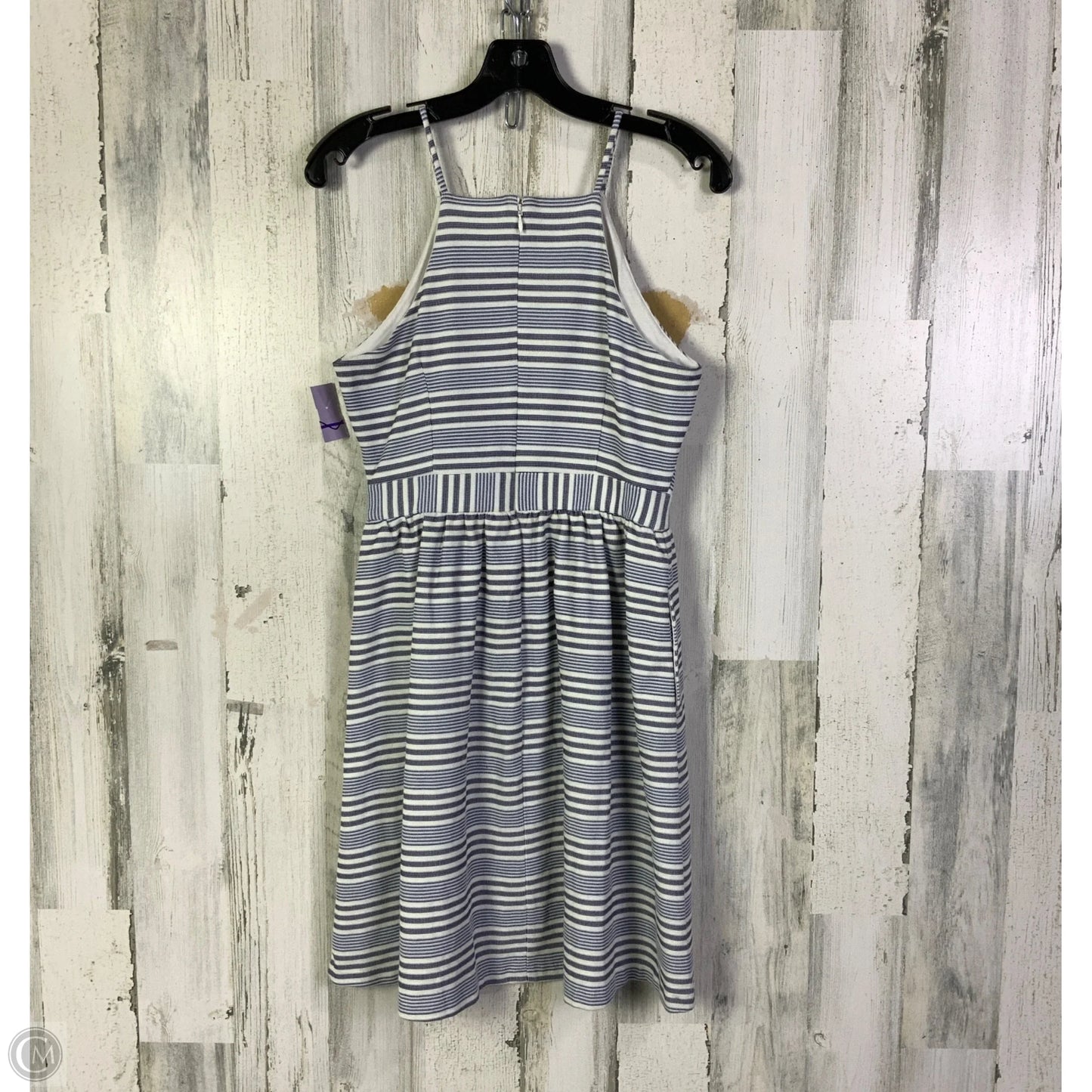 Dress Casual Short By Banana Republic In Blue & White, Size: S