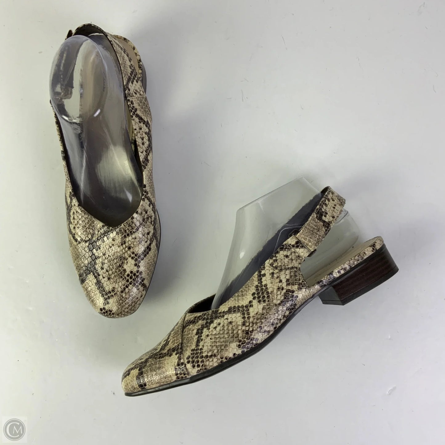 Shoes Flats By Clarks In Snakeskin Print, Size: 10