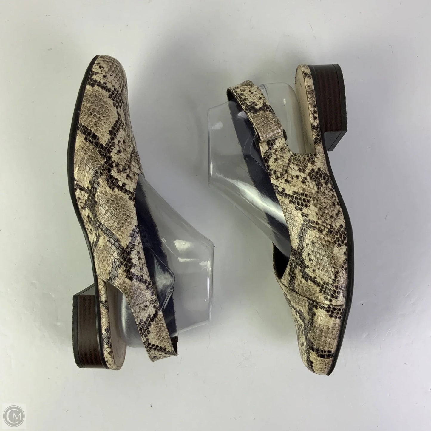 Shoes Flats By Clarks In Snakeskin Print, Size: 10