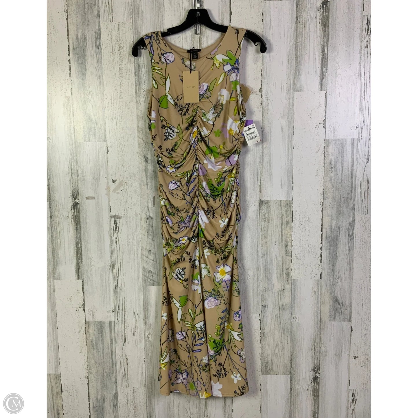 Dress Casual Short By Halogen In Tan, Size: S