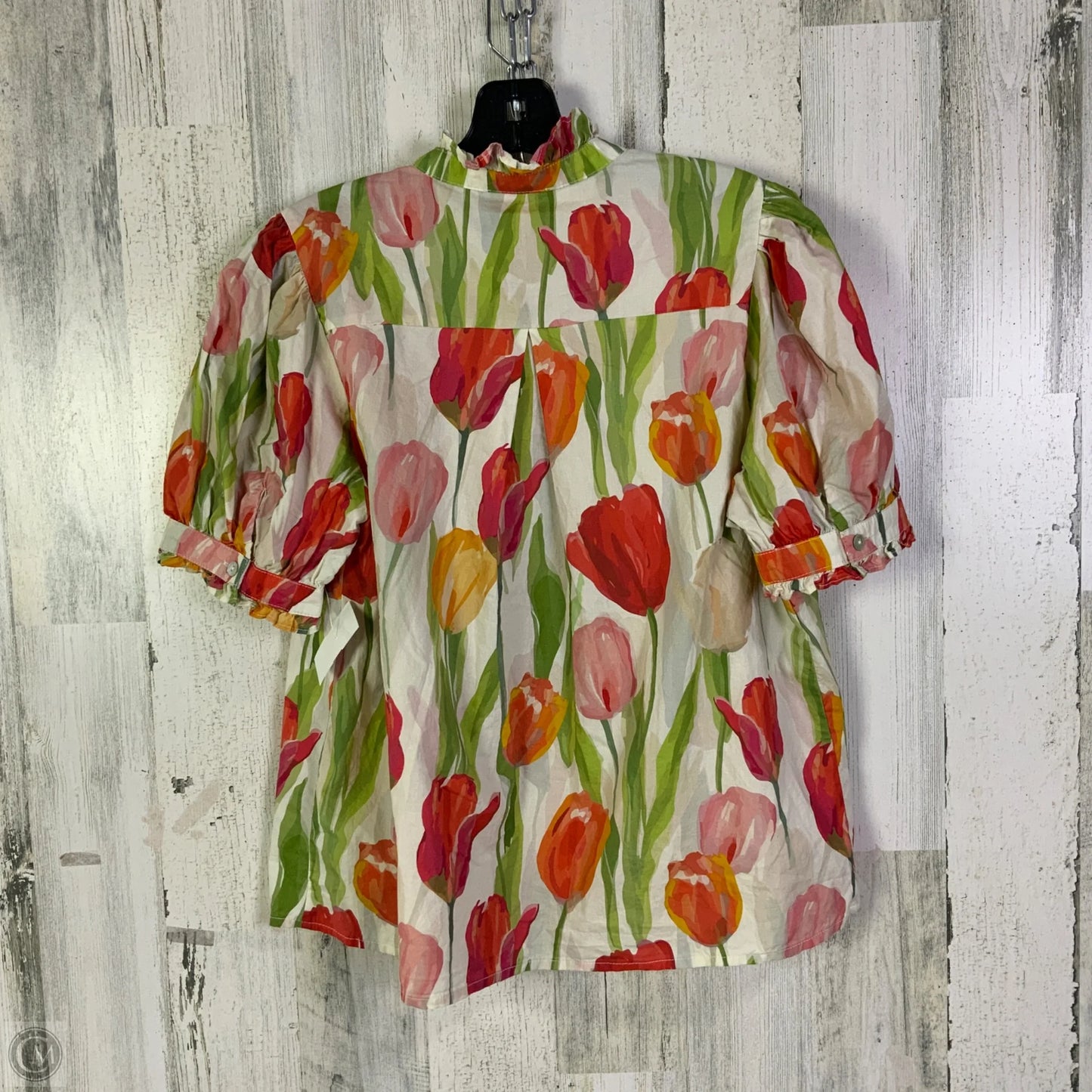 Top Short Sleeve By Entro In Green & Red, Size: S
