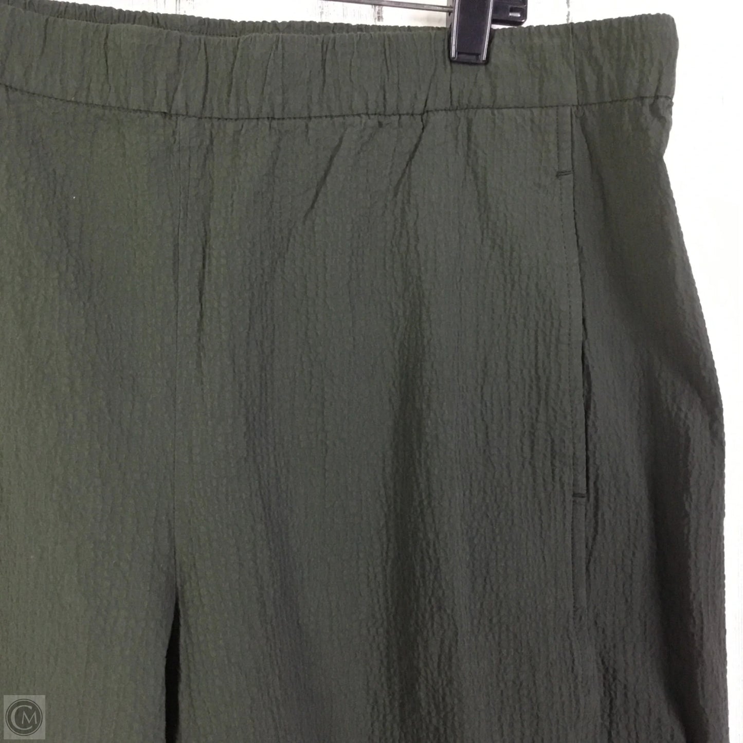 Pants Other By Eileen Fisher In Green, Size: 16