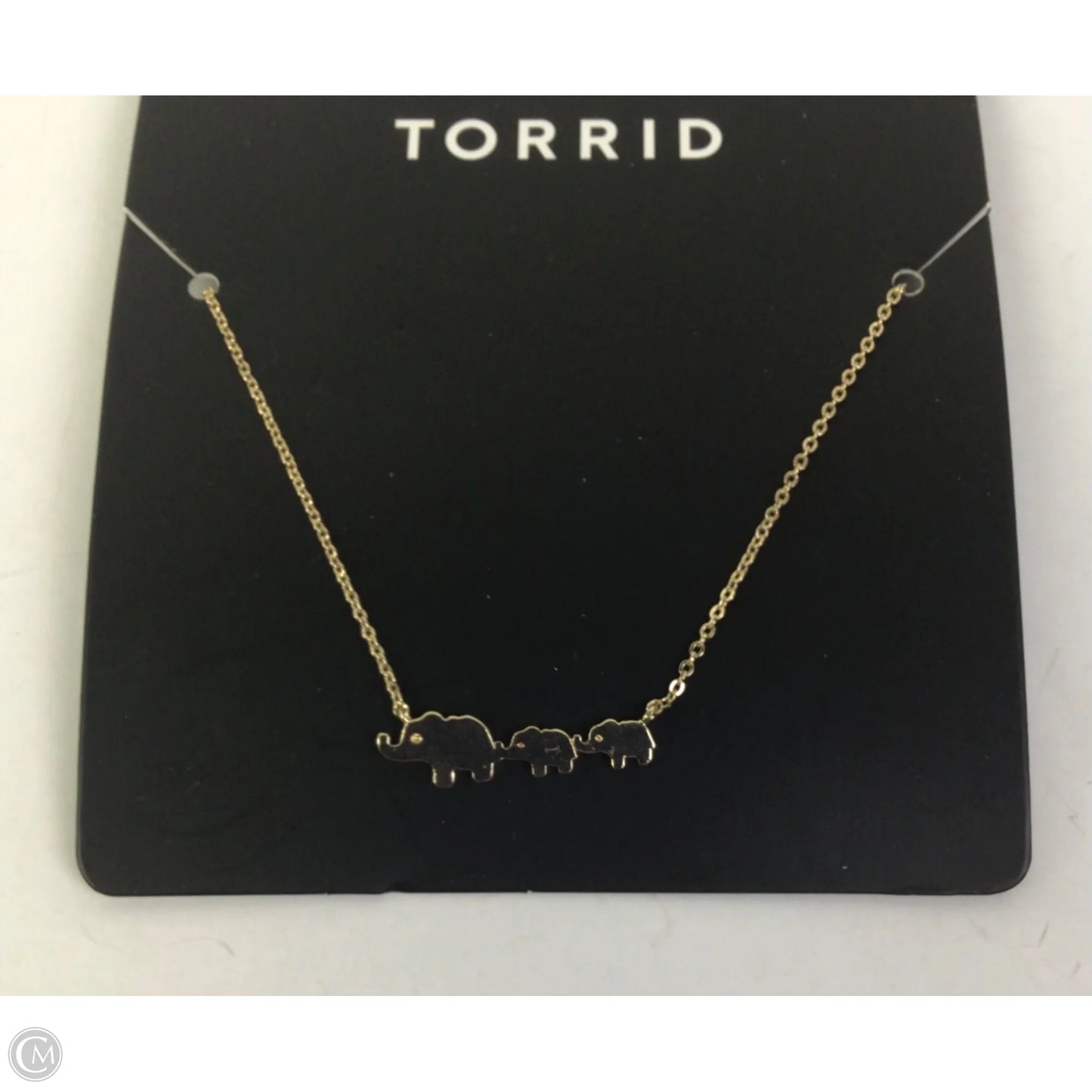 Necklace Chain By Torrid