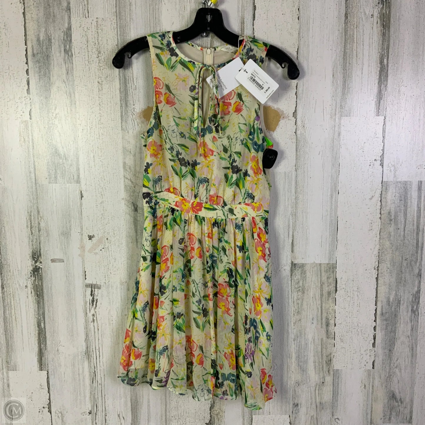 Dress Casual Short By Ted Baker In Cream & Green, Size: Xs