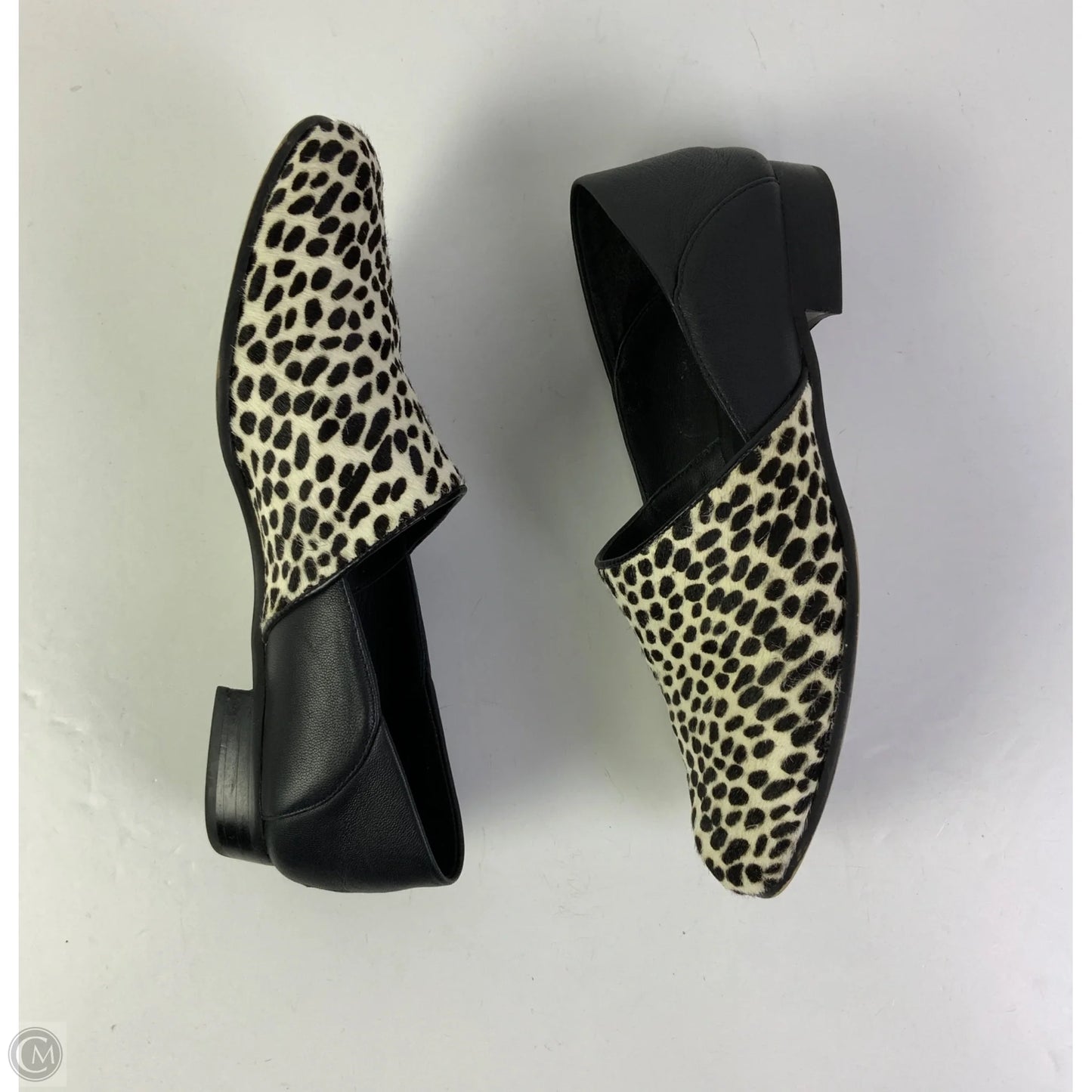 Shoes Flats By Clarks In Animal Print, Size: 7.5