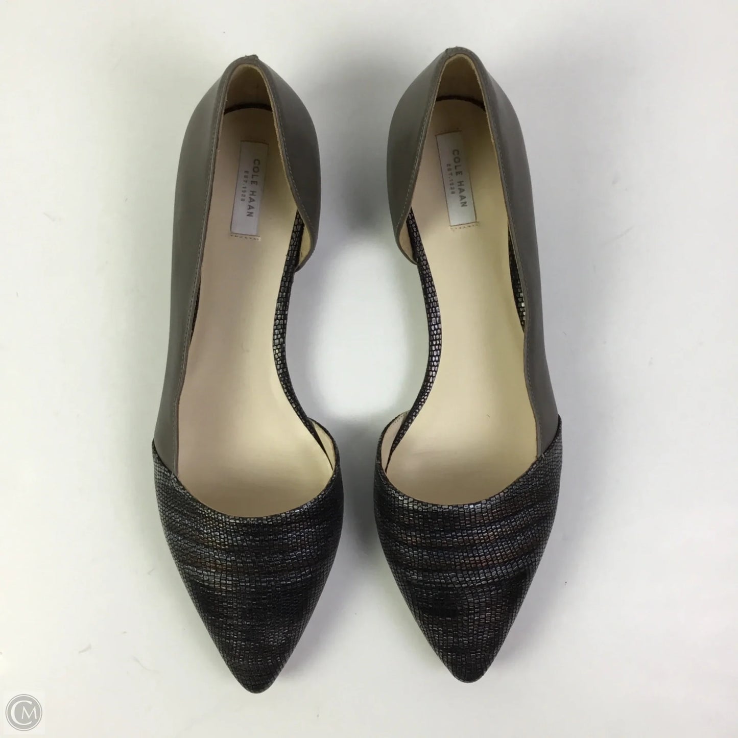 Shoes Flats By Cole-haan In Silver, Size: 10