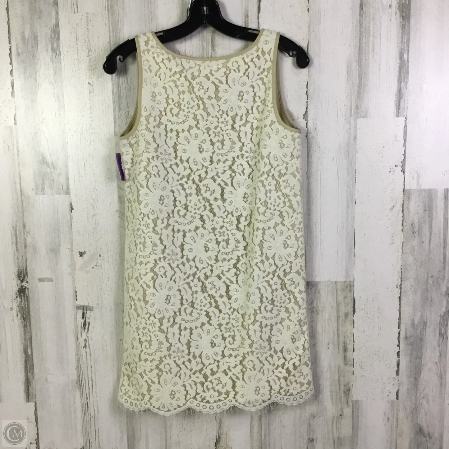Dress Casual Short By Kensie In White, Size: Xs
