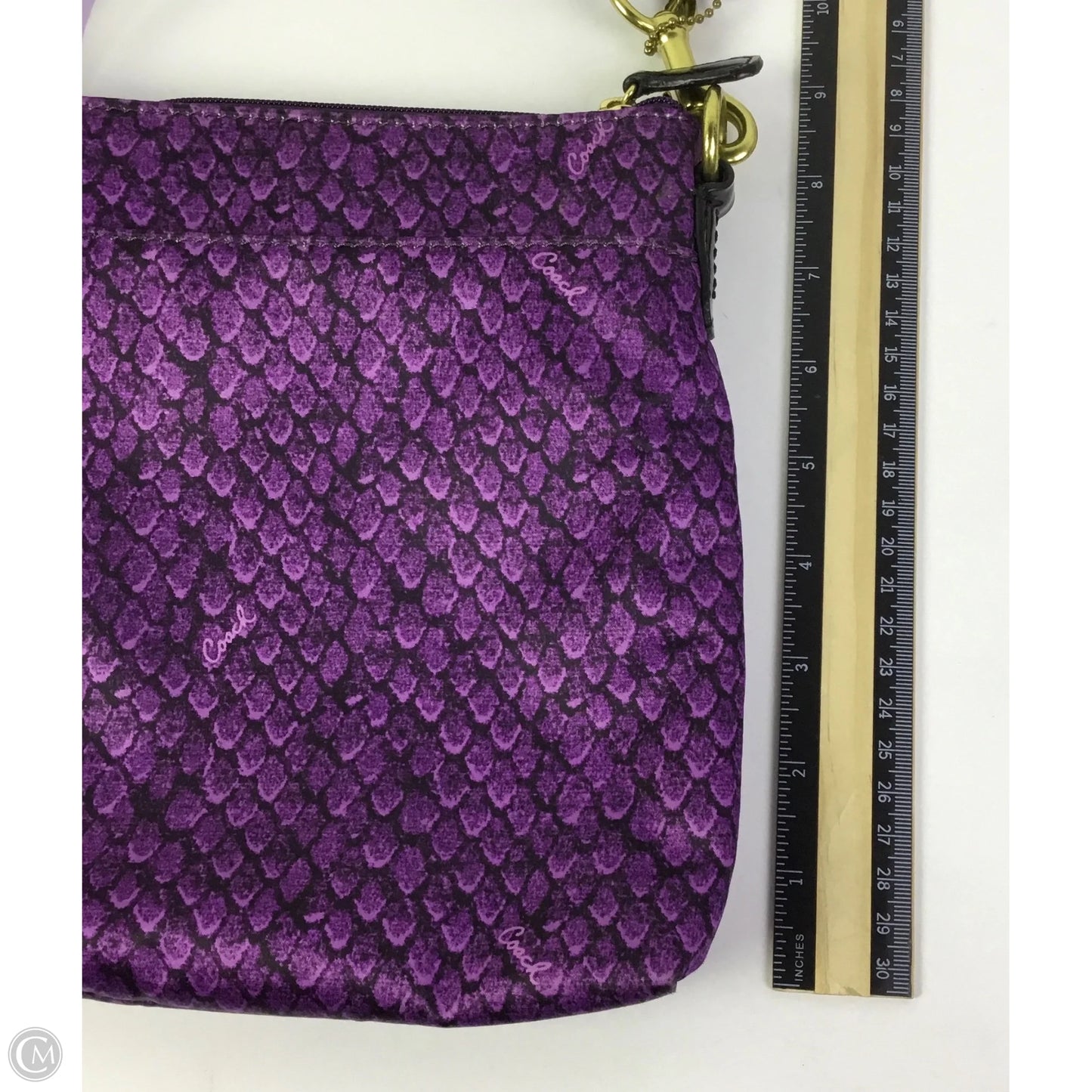Crossbody Designer By Coach, Size: Small