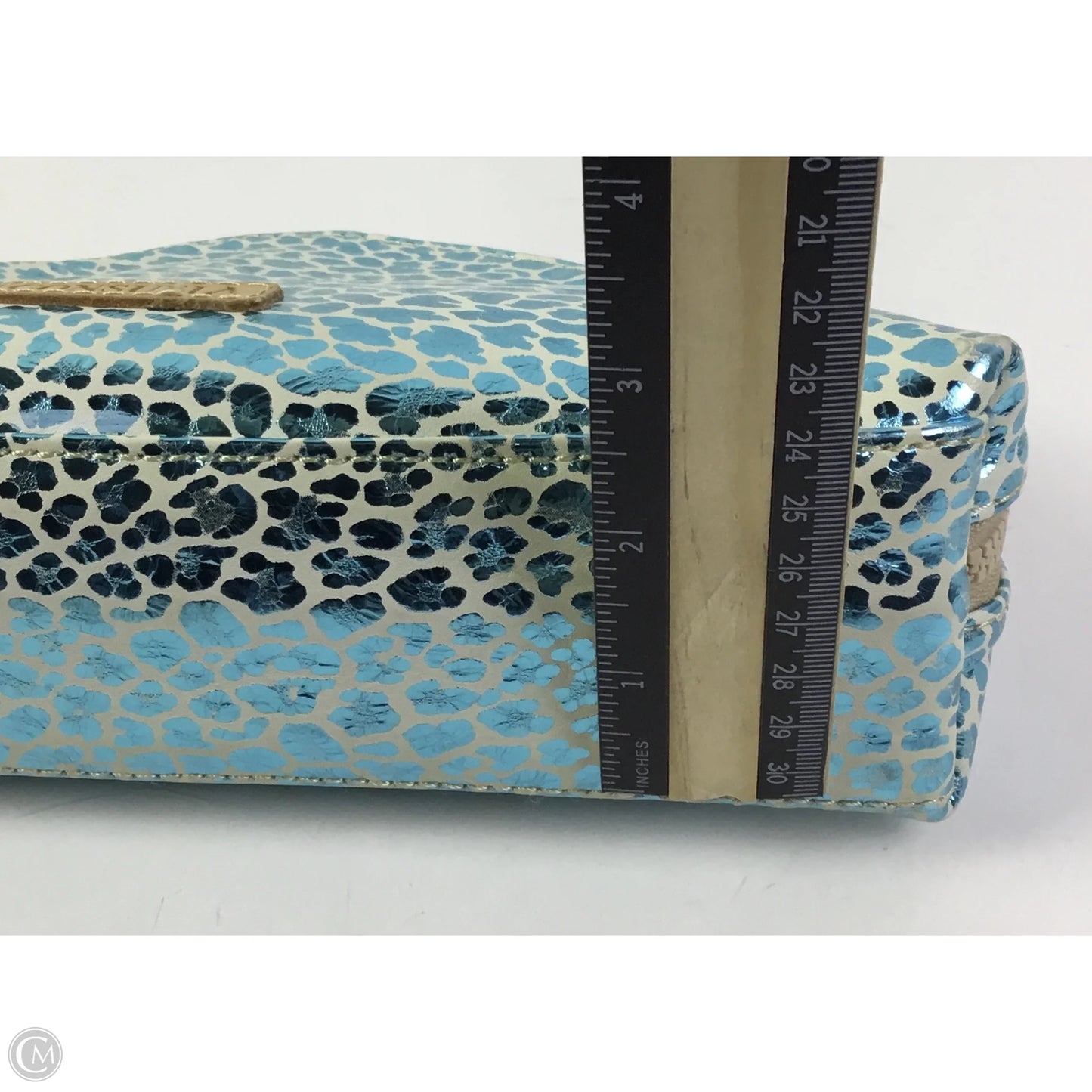 Makeup Bag By Consuela, Size: Large