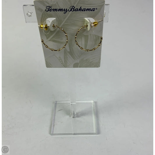 Earrings Hoop By Tommy Bahama