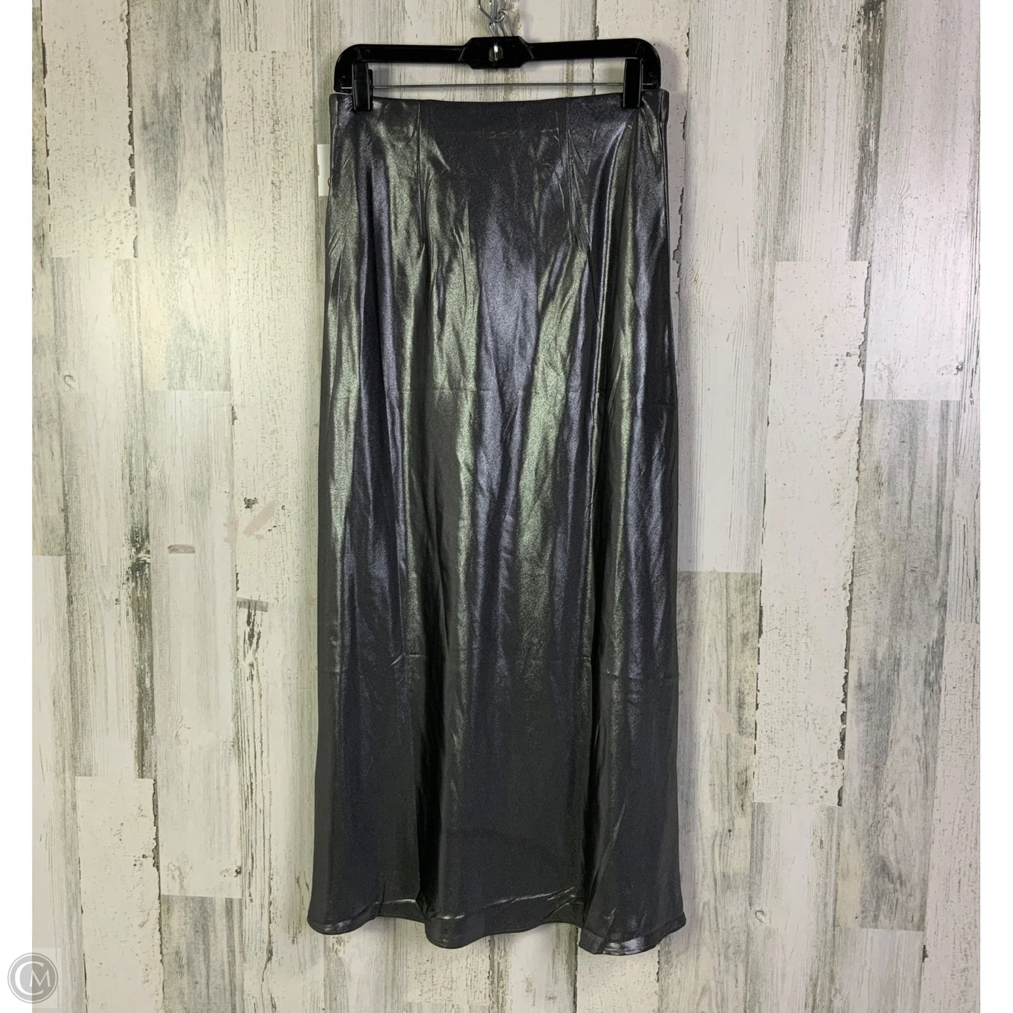 Skirt Maxi By Clothes Mentor In Silver, Size: 4