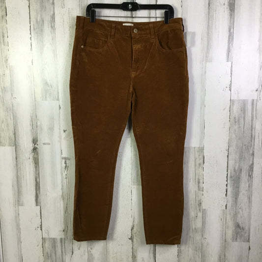 Pants Corduroy By Pilcro In Orange, Size:12