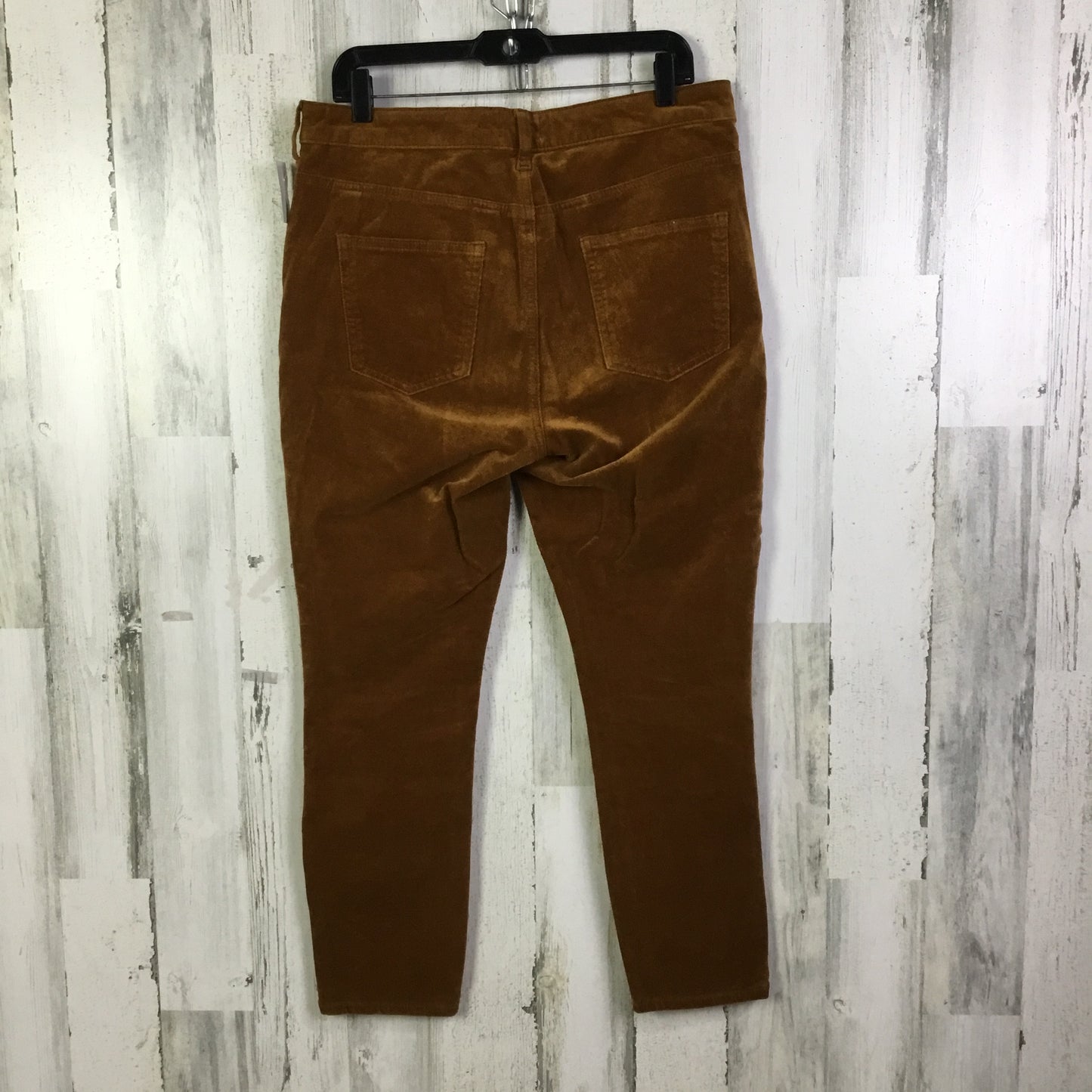 Pants Corduroy By Pilcro In Orange, Size:12