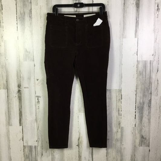 Pants Corduroy By Pilcro In Brown, Size:10
