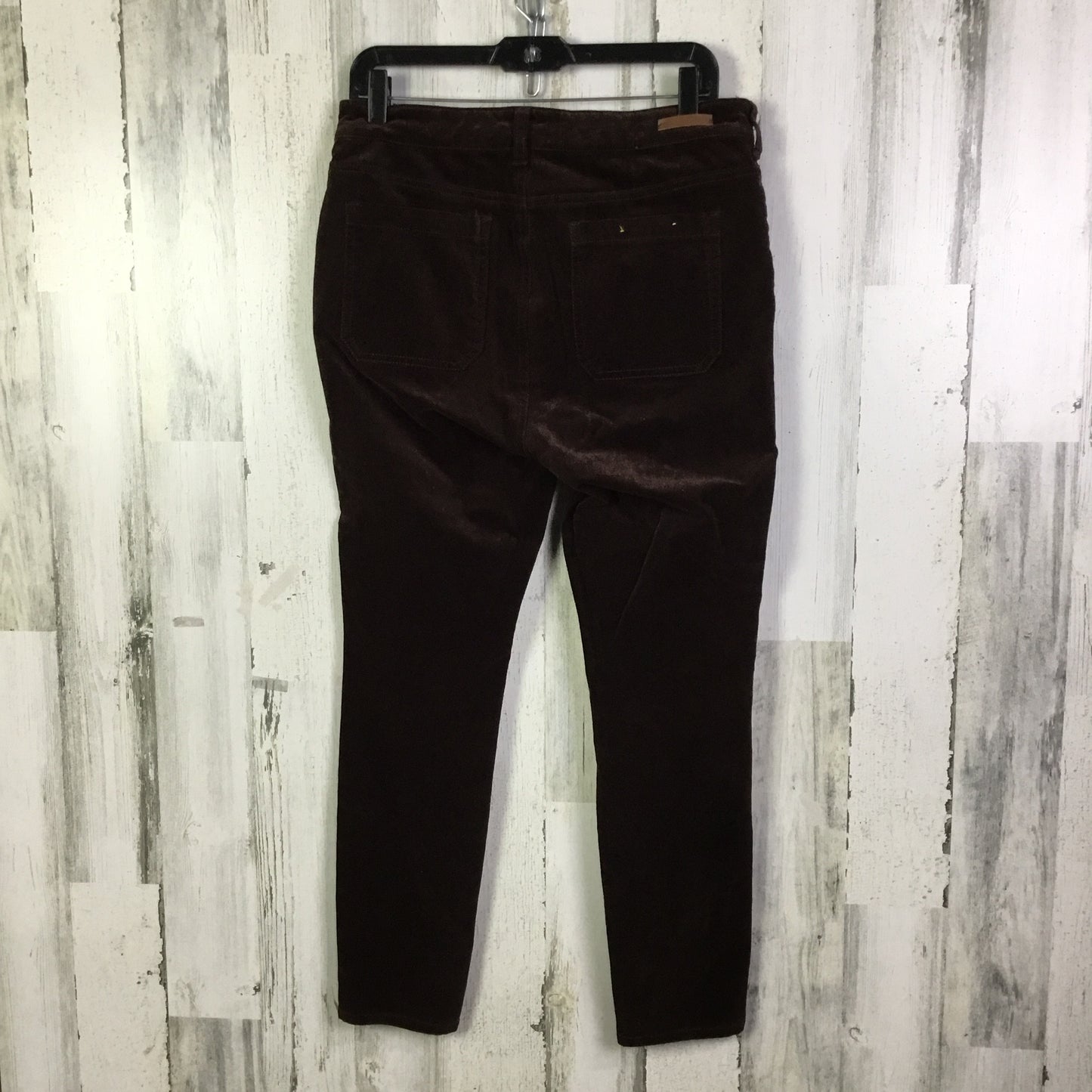 Pants Corduroy By Pilcro In Brown, Size:10