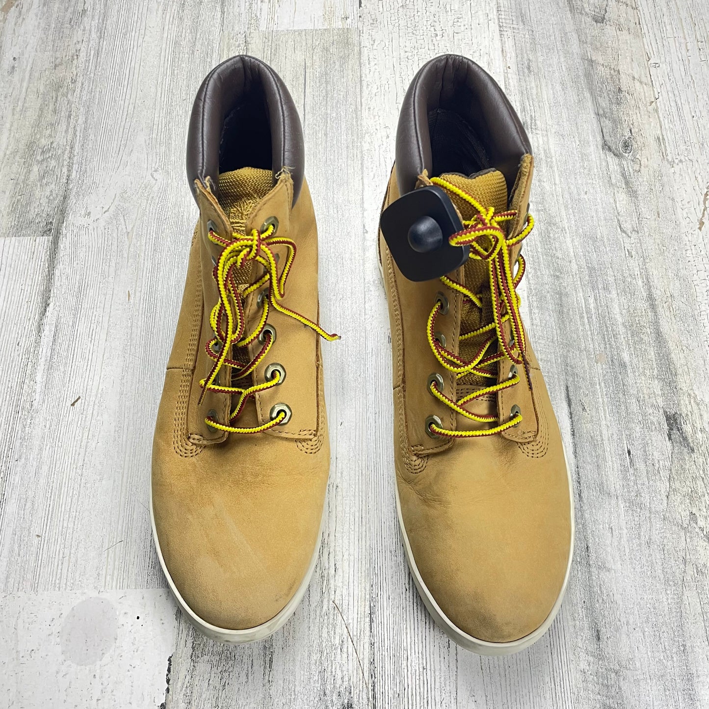 Shoes Sneakers By Timberland  Size: 10